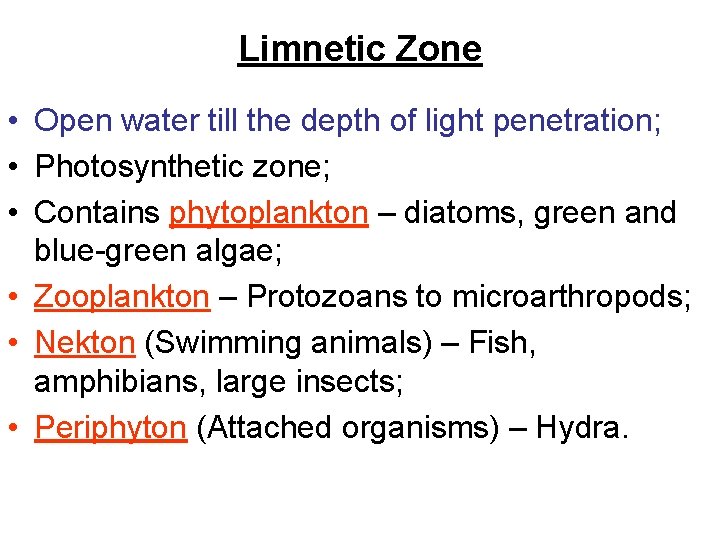 Limnetic Zone • Open water till the depth of light penetration; • Photosynthetic zone;