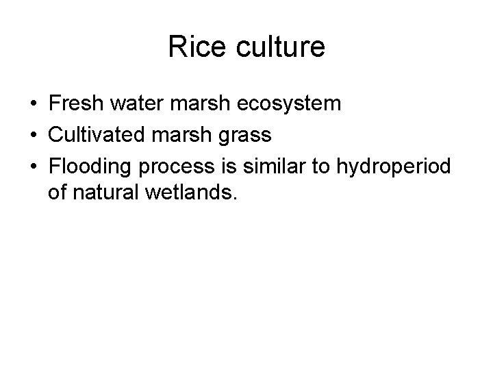 Rice culture • Fresh water marsh ecosystem • Cultivated marsh grass • Flooding process