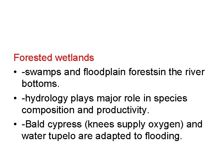 Forested wetlands • -swamps and floodplain forestsin the river bottoms. • -hydrology plays major