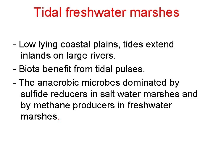 Tidal freshwater marshes - Low lying coastal plains, tides extend inlands on large rivers.