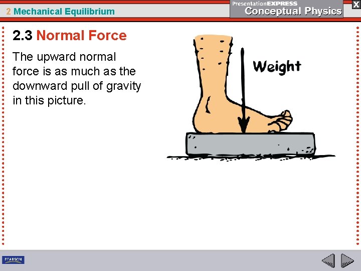 2 Mechanical Equilibrium 2. 3 Normal Force The upward normal force is as much