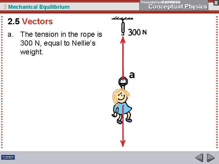 2 Mechanical Equilibrium 2. 5 Vectors a. The tension in the rope is 300