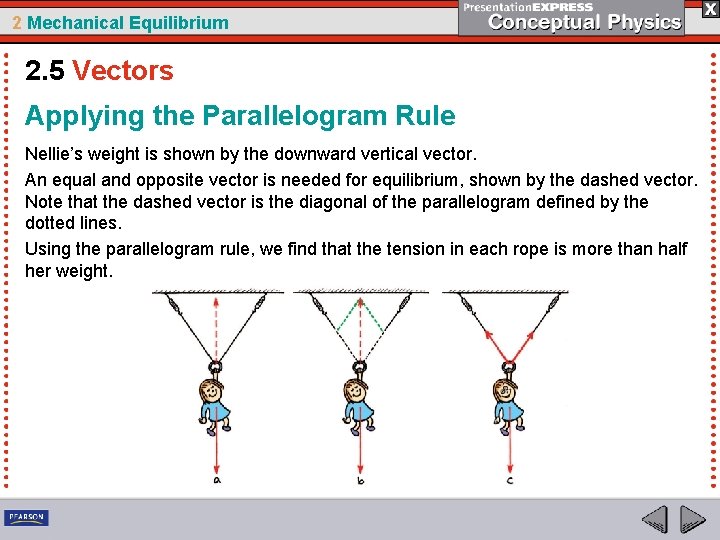 2 Mechanical Equilibrium 2. 5 Vectors Applying the Parallelogram Rule Nellie’s weight is shown