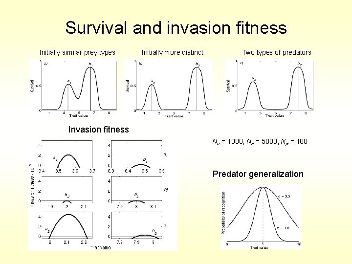 Survival and invasion fitness Initially similar prey types Initially more distinct Two types of