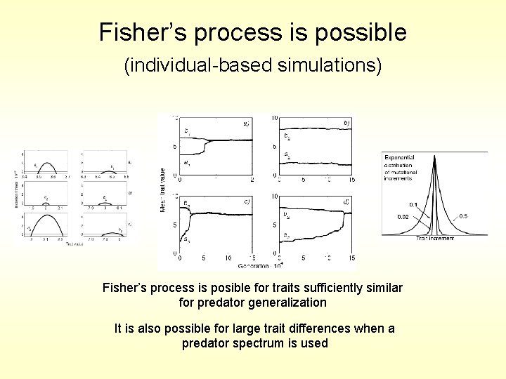 Fisher’s process is possible (individual-based simulations) Fisher’s process is posible for traits sufficiently similar