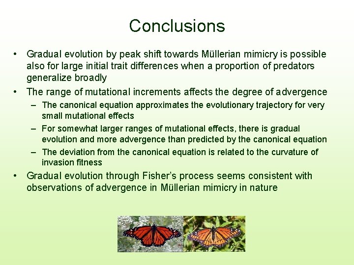 Conclusions • Gradual evolution by peak shift towards Müllerian mimicry is possible also for