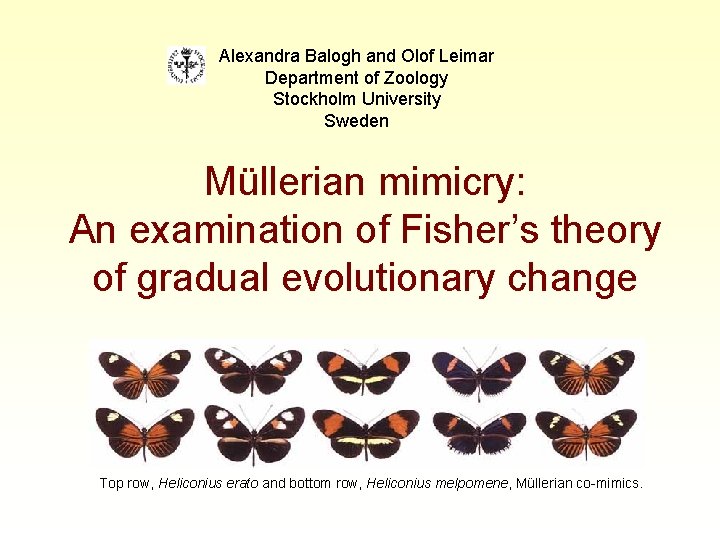 Alexandra Balogh and Olof Leimar Department of Zoology Stockholm University Sweden Müllerian mimicry: An