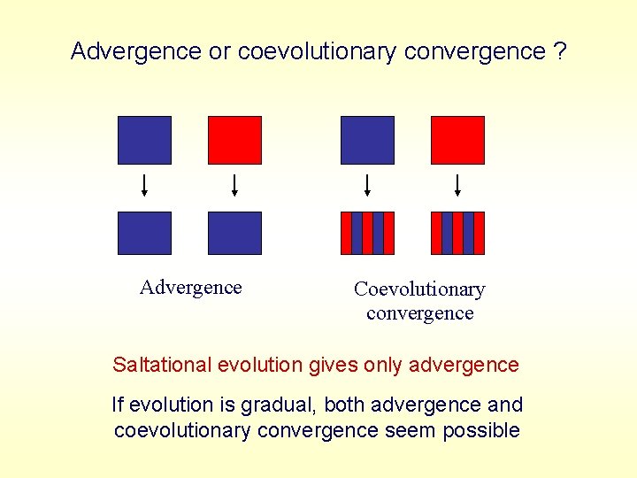 Advergence or coevolutionary convergence ? Advergence Coevolutionary convergence Saltational evolution gives only advergence If