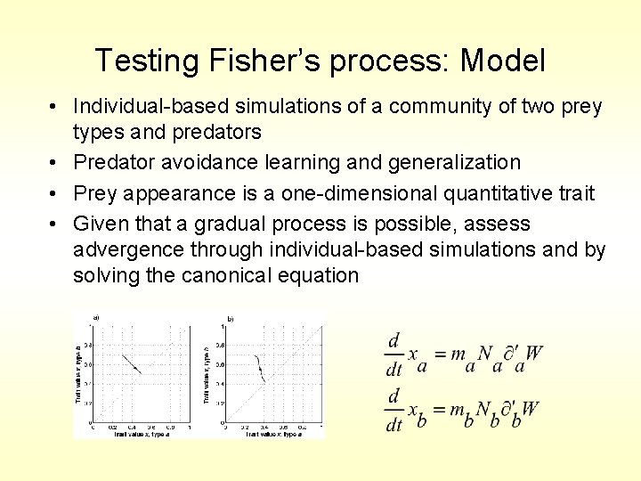 Testing Fisher’s process: Model • Individual-based simulations of a community of two prey types