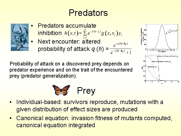 Predators • Predators accumulate inhibition • Next encounter: altered probability of attack q (h)