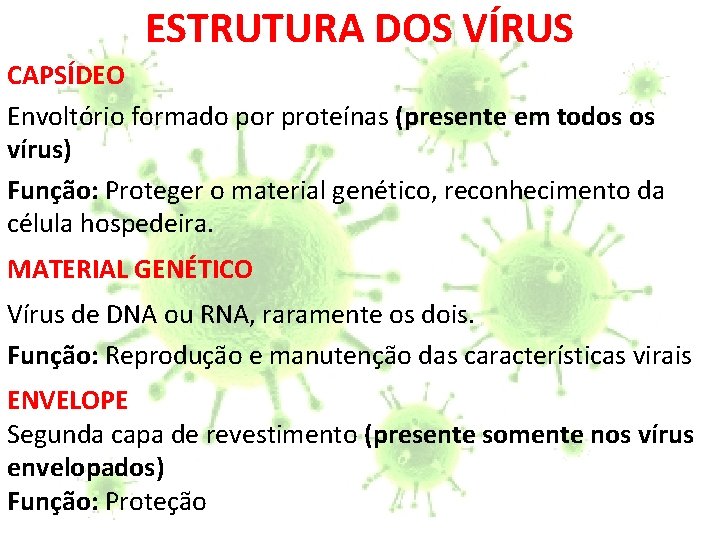 ESTRUTURA DOS VÍRUS CAPSÍDEO Envoltório formado por proteínas (presente em todos os vírus) Função: