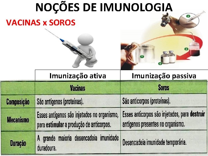 NOÇÕES DE IMUNOLOGIA VACINAS x SOROS Imunização ativa Imunização passiva 