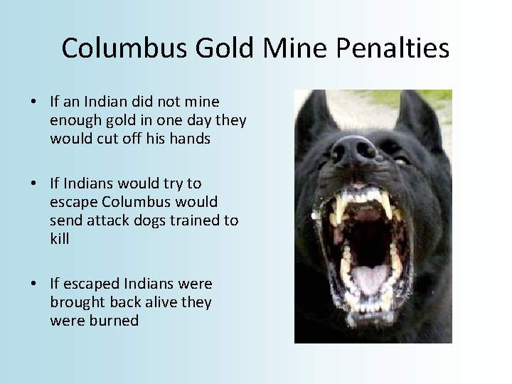 Columbus Gold Mine Penalties • If an Indian did not mine enough gold in