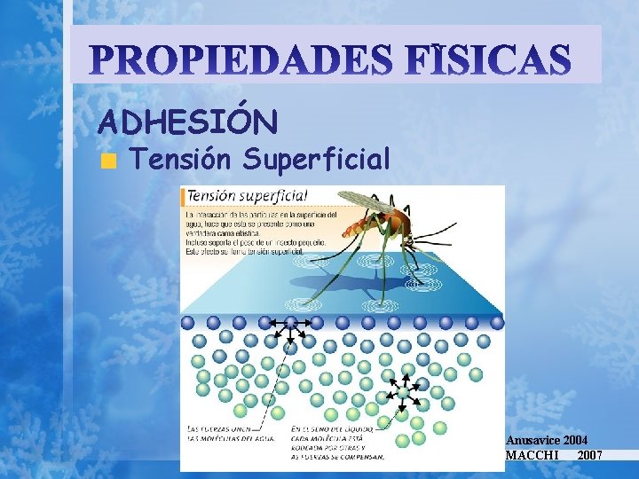 ADHESIÓN Tensión Superficial Anusavice 2004 MACCHI 2007 