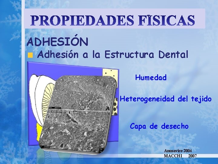 ADHESIÓN Adhesión a la Estructura Dental Humedad Heterogeneidad del tejido Capa de desecho Anusavice