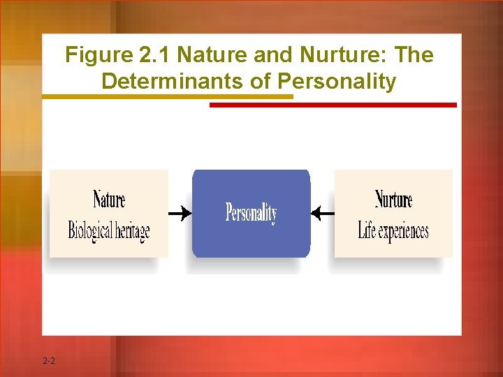 Figure 2. 1 Nature and Nurture: The Determinants of Personality 2 -2 