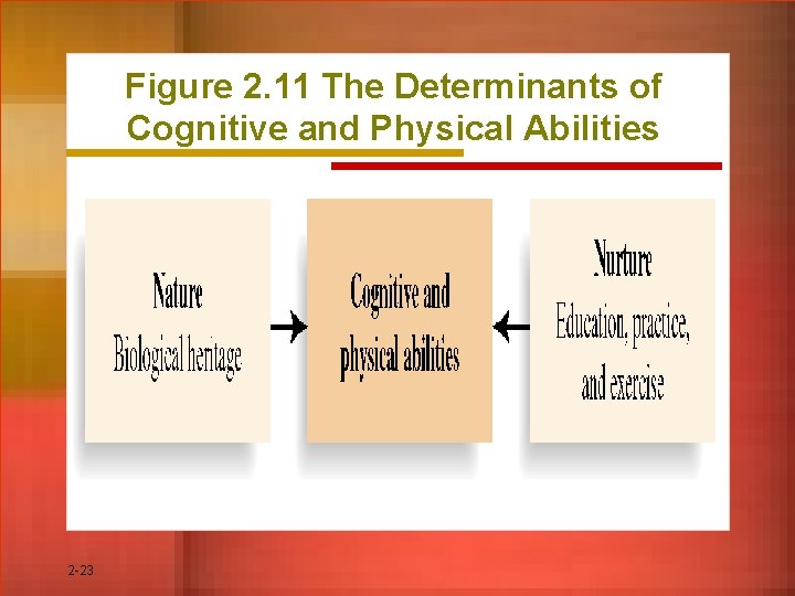 Figure 2. 11 The Determinants of Cognitive and Physical Abilities 2 -23 