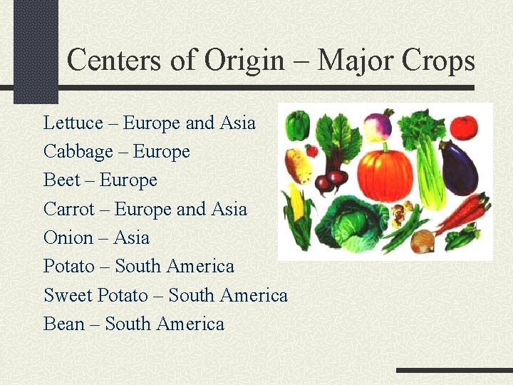 Centers of Origin – Major Crops Lettuce – Europe and Asia Cabbage – Europe