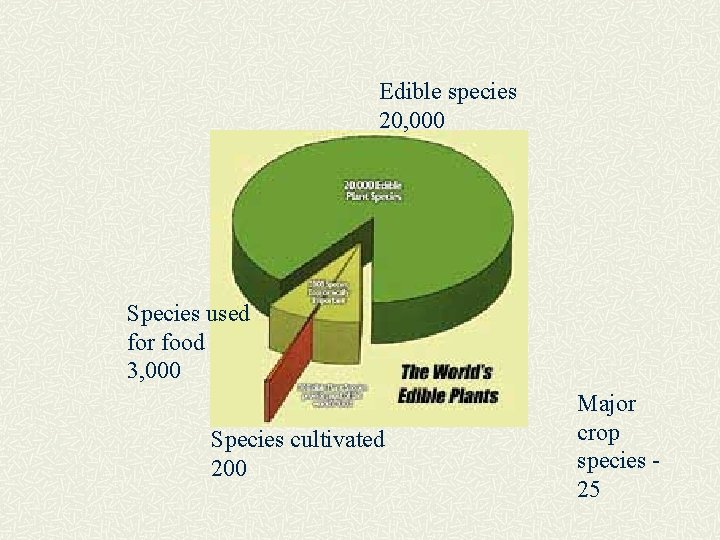 Edible species 20, 000 Species used for food 3, 000 Species cultivated 200 Major