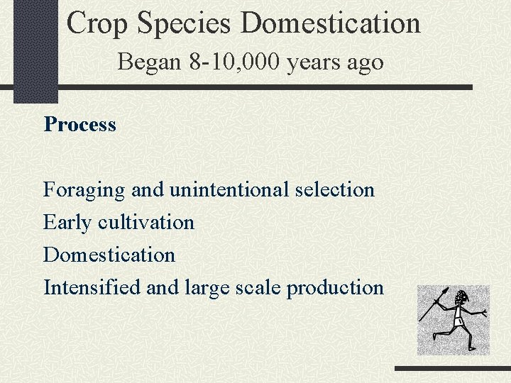 Crop Species Domestication Began 8 -10, 000 years ago Process Foraging and unintentional selection