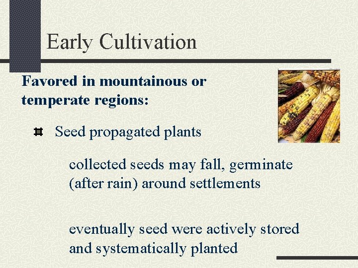 Early Cultivation Favored in mountainous or temperate regions: Seed propagated plants collected seeds may