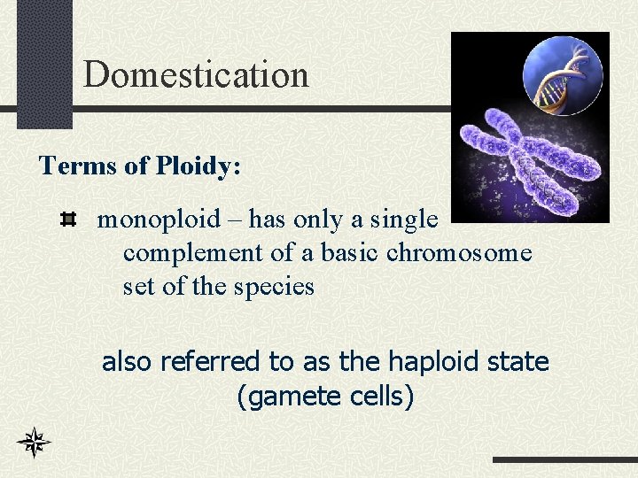 Domestication Terms of Ploidy: monoploid – has only a single complement of a basic