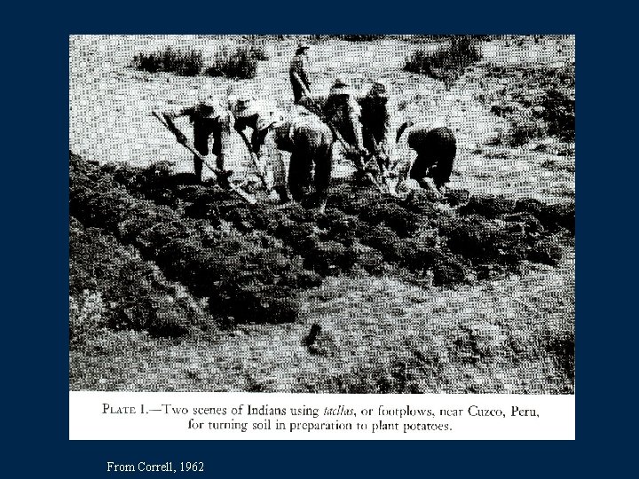 From Correll, 1962 