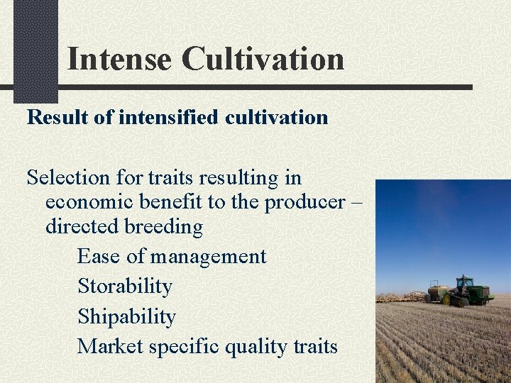 Intense Cultivation Result of intensified cultivation Selection for traits resulting in economic benefit to
