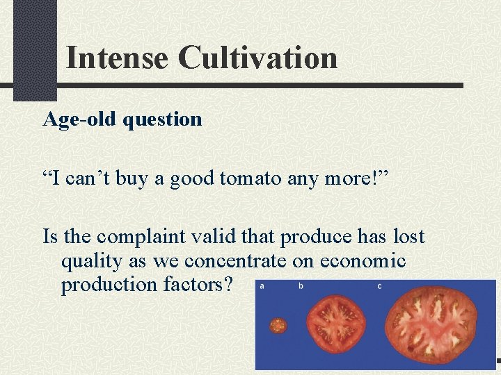 Intense Cultivation Age-old question “I can’t buy a good tomato any more!” Is the