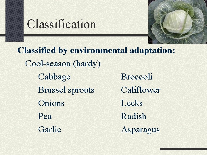 Classification Classified by environmental adaptation: Cool-season (hardy) Cabbage Broccoli Brussel sprouts Califlower Onions Leeks