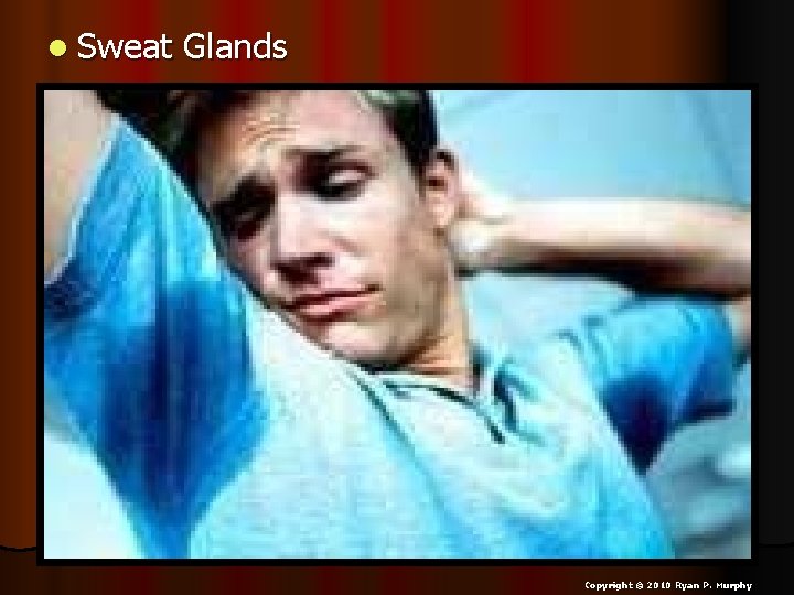 l Sweat Glands Copyright © 2010 Ryan P. Murphy 