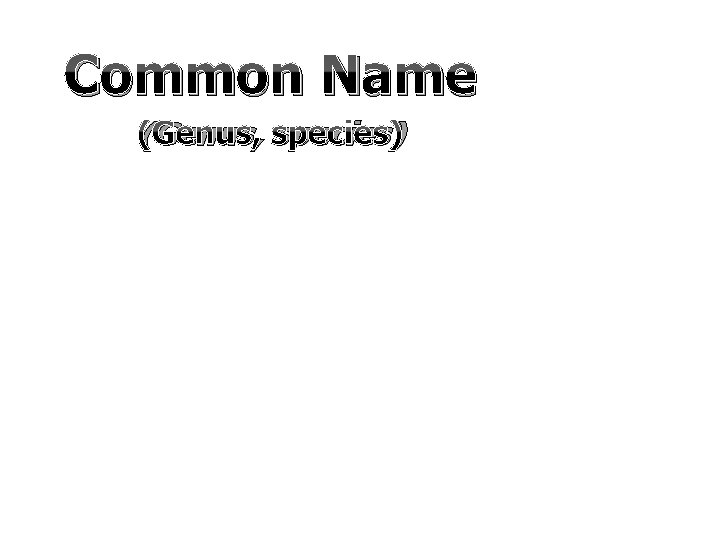 Common Name (Genus, species) 