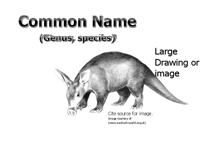 Common Name (Genus, species) Large Drawing or image Cite source for image. Image courtesy