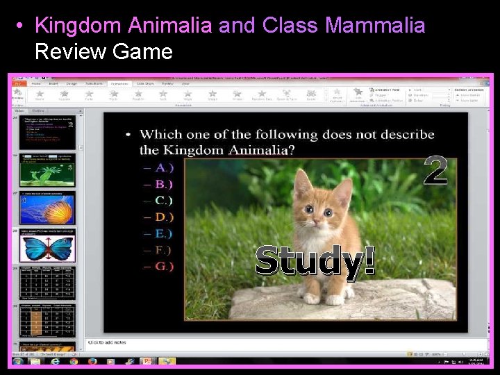  • Kingdom Animalia and Class Mammalia Review Game Study! 