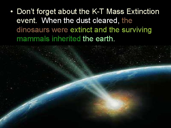  • Don’t forget about the K-T Mass Extinction event. When the dust cleared,