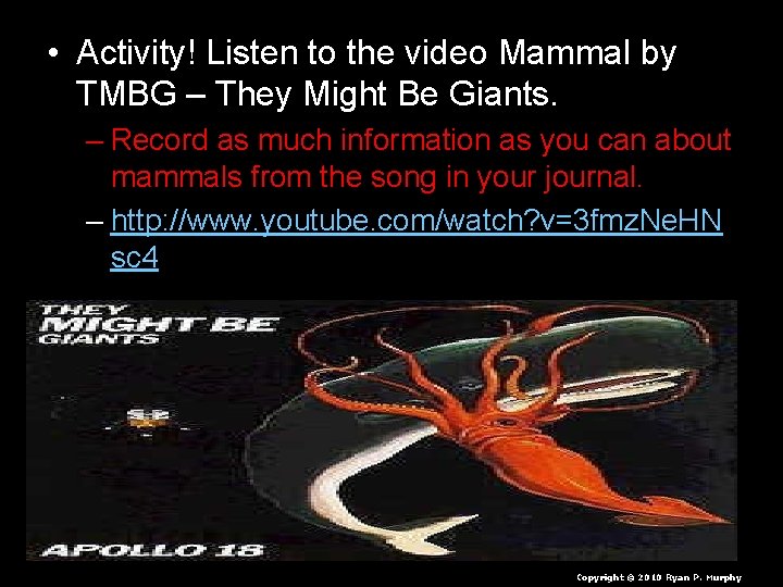  • Activity! Listen to the video Mammal by TMBG – They Might Be