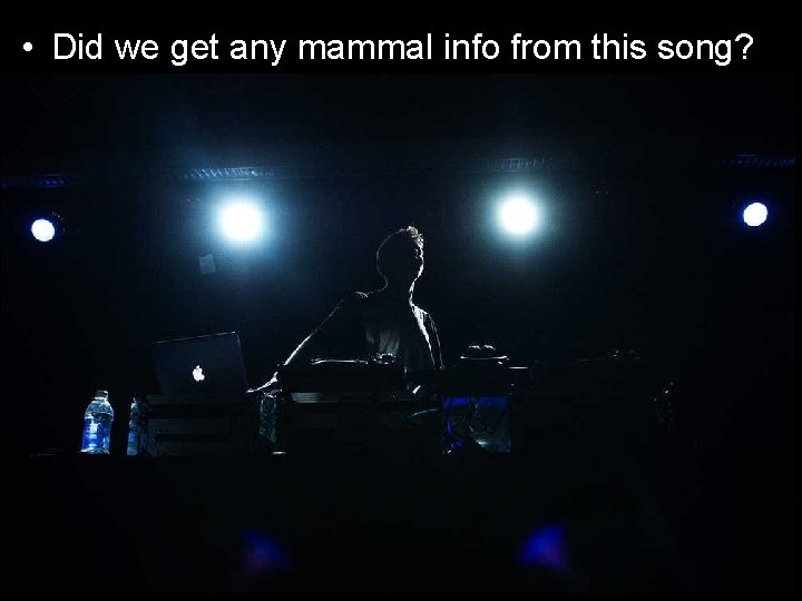  • Did we get any mammal info from this song? 