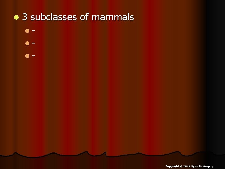 l 3 subclasses of mammals lll- Copyright © 2010 Ryan P. Murphy 