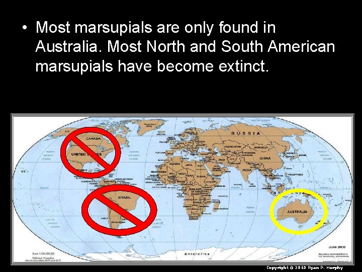  • Most marsupials are only found in Australia. Most North and South American