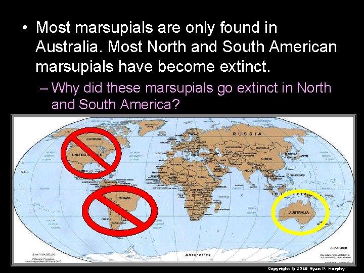  • Most marsupials are only found in Australia. Most North and South American