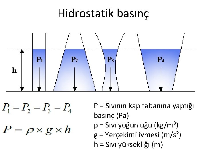 Hidrostatik basınç P = Sıvının kap tabanına yaptığı basınç (Pa) ρ = Sıvı yoğunluğu