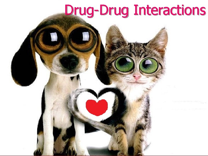 Drug-Drug Interactions 