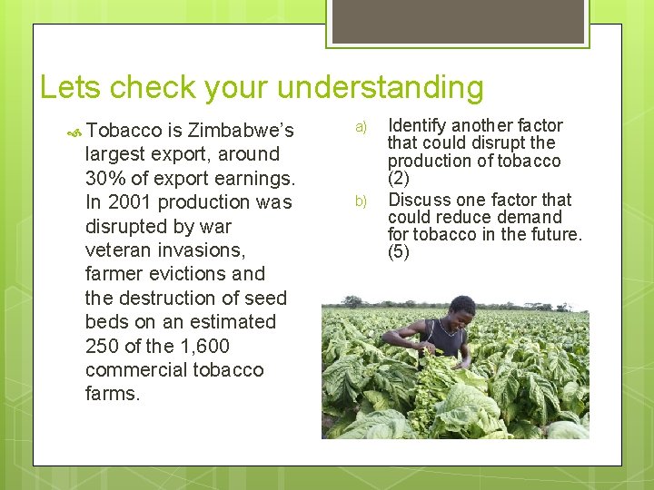 Lets check your understanding Tobacco is Zimbabwe’s largest export, around 30% of export earnings.