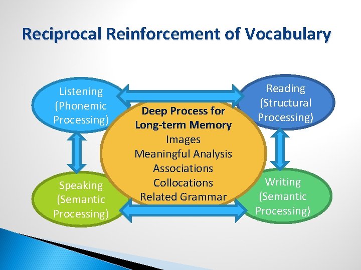 Reading for Writing as Reciprocal Reinforcement in Vocabulary