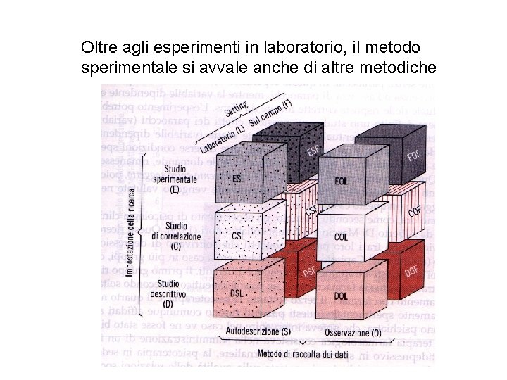 Oltre agli esperimenti in laboratorio, il metodo sperimentale si avvale anche di altre metodiche