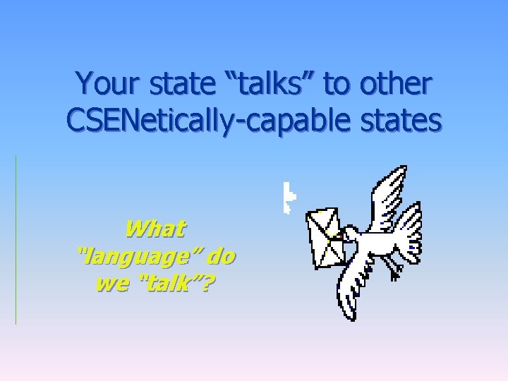 Your state “talks” to other CSENetically-capable states What “language” do we “talk”? 