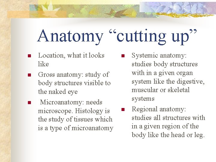 Anatomy “cutting up” n n n Location, what it looks like Gross anatomy: study