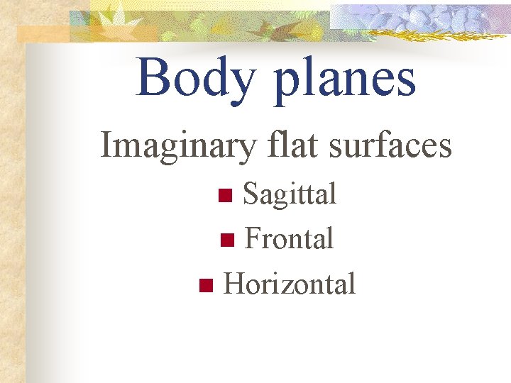 Body planes Imaginary flat surfaces Sagittal n Frontal n Horizontal n 