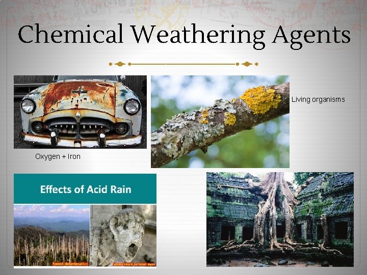 Chemical Weathering Agents Living organisms Oxygen + Iron 