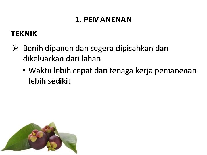 1. PEMANENAN TEKNIK Ø Benih dipanen dan segera dipisahkan dikeluarkan dari lahan • Waktu